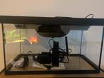 Aquarium 45L Tetra, Ophalen, Zo goed als nieuw, Leeg aquarium