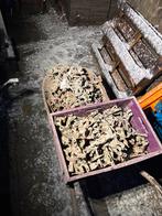 Steigerklemmen, Doe-het-zelf en Verbouw, Steigers, Ophalen of Verzenden, Gebruikt, Gevelsteiger, Minder dan 2 meter