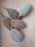 Baobab sierfruit decoratie, Huis en Inrichting, Woonaccessoires | Overige, Ophalen of Verzenden, Zo goed als nieuw
