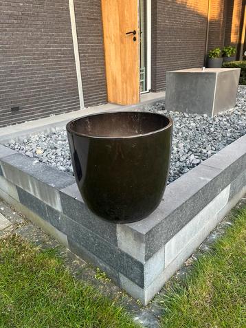 Donker bruine geglazuurde bloempot beschikbaar voor biedingen