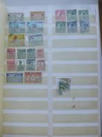 Stockboek Zuid Afrika, Israel New Zealand, Postzegels en Munten, Ophalen of Verzenden, Buitenland
