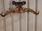 Unieke Kapstok van Bull Hoorns, Ophalen of Verzenden