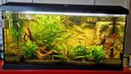 Compleet aquarium, Ophalen, Zo goed als nieuw, Gevuld zoetwateraquarium
