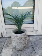 plantenpot beton grijs kunstplant palm bloempot, Gebruikt, Rond, Tuin, Minder dan 40 cm