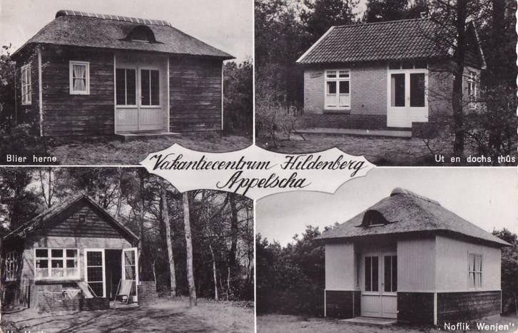 Appelscha, vakantiecentrum Hildenberg, Verzamelen, Ansichtkaarten | Nederland, Gelopen, Friesland, Ophalen of Verzenden