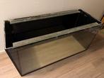 Aquarium 100 x 40 x 50, Ophalen of Verzenden