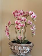 Schelpenvaas met zijden bloemen, Huis en Inrichting, Kamerplanten, Overige soorten, In pot, Minder dan 100 cm, Bloeiende kamerplant