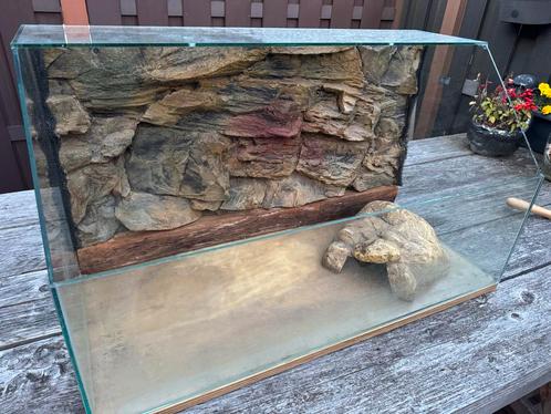 Terrarium voor landschildpadden, Dieren en Toebehoren, Reptielen en Amfibieën | Toebehoren, Terrarium of Paludarium, Ophalen