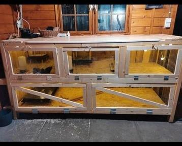 Grote werkbank met hokken voor kwartels, kippen, of vogels beschikbaar voor biedingen