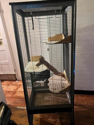 Mooie gebruikte knaagdierenkooi beschikbaar voor biedingen