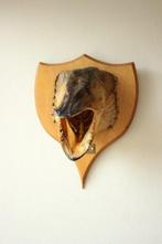 Taxidermie opgezette kop vis Snoek, Verzamelen, Dierenverzamelingen, Ophalen of Verzenden, Gebruikt, Overige soorten, Gewei of Kop