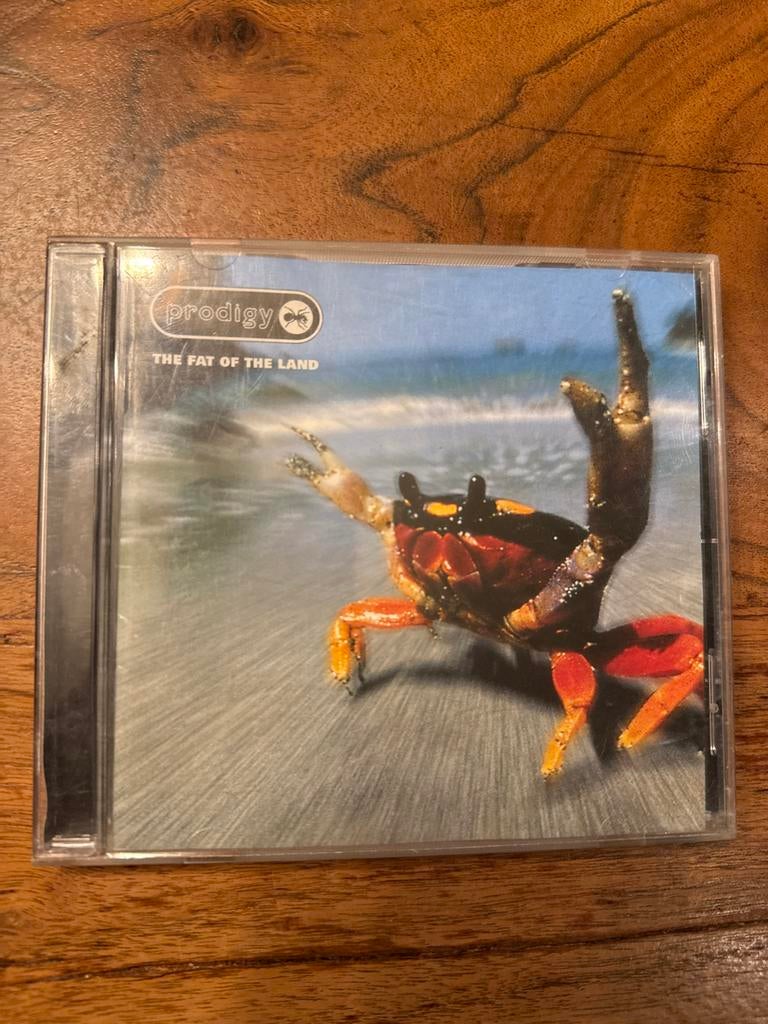 The Prodigy - The Fat of the Land CD, Ophalen of Verzenden, Zo goed als nieuw, Techno of Trance