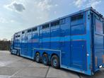Stehmann SDV 35 cattle cruiser vee oplegger, Auto's, Overige merken, Blauw, Particulier, Te koop