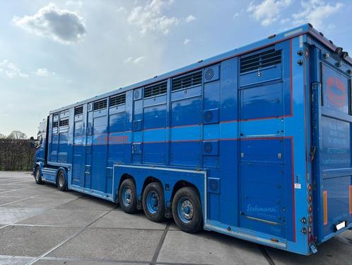 Stehmann SDV 35 cattle cruiser vee oplegger, Auto's, Vrachtwagens, Particulier, ABS, Overige merken, Blauw, BTW verrekenbaar, Ophalen