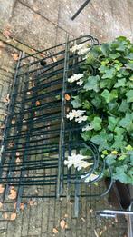 Gietijzeren hekjes, Ophalen, Gebruikt, IJzer, Sierhekwerk