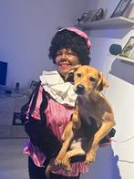 4 6 7 december pieten op bezoek, Diversen, Sinterklaas, Verzenden