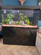 Aquarium zonder inhoud B150 x H170 x D60, Dieren en Toebehoren, Vissen | Aquaria en Toebehoren, Ophalen, Zo goed als nieuw, Leeg aquarium