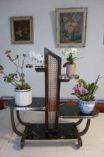 PLANTENETAGERE,FIFTIES,SIXTIES,ROCKABILLY,VINTAGE, Ophalen of Verzenden, Gebruikt