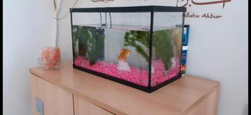 Aquarium en nieuwe SuperFish toebehoren beschikbaar voor biedingen