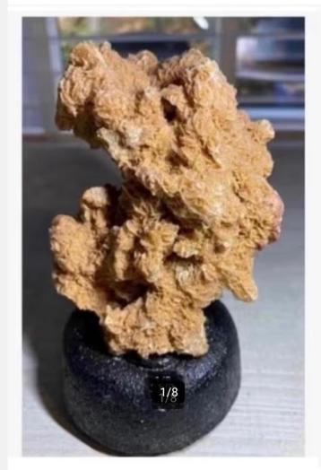 Woestijn roos op voet, totaal 12 cm, roos is 9 x 7 cm beschikbaar voor biedingen