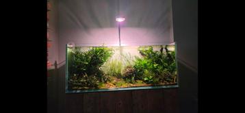 Mooi open aquarium beschikbaar voor biedingen