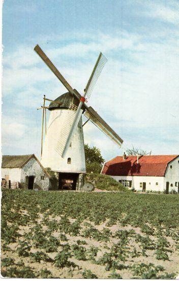 (GD262) Ansichtkaart Loil Didam molen De Korenbloem, Verzamelen, Ansichtkaarten | Nederland, Ongelopen, Gelderland, 1960 tot 1980