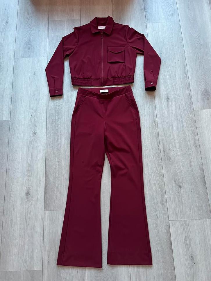 Studio Anneloes set van broek & jasje - S, Kleding | Dames, Jasjes, Kostuums en Pakken, Zo goed als nieuw, Rood, Ophalen of Verzenden