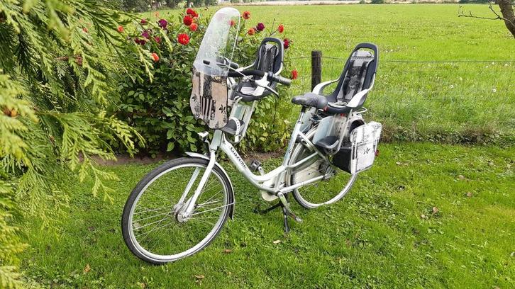 gazelle bloom, Fietsen en Brommers, Fietsen | Dames | Moederfietsen, Gebruikt, Gazelle, 53 tot 56 cm, 2 zitjes, Dubbele standaard