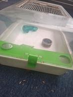 Caviahok, Dieren en Toebehoren, Ophalen, Gebruikt, Kooi, Minder dan 60 cm