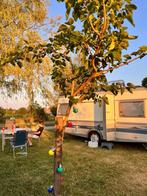 Fendt Saphir 470 Caravan
