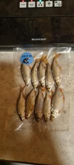 Doodaas voorn mix middel 12/20cm ACTIE, Ophalen of Verzenden, Nieuw, Overige typen