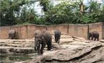 2 e-tickets voor Wildlands Adventurepark Emmen, Tickets en Kaartjes, Twee personen, Ticket of Toegangskaart