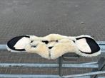 passier singel bontje 55cm, Dieren en Toebehoren, Paarden en Pony's | Hoofdstellen en Tuigage, Ophalen of Verzenden, Dressuur