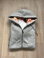 Burberry Vest, Kleding | Heren, Truien en Vesten, Maat 48/50 (M), Ophalen of Verzenden, Zo goed als nieuw, Grijs