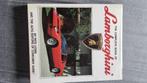Lamborghini boek, Boeken, Auto's | Boeken, Ophalen of Verzenden, Gelezen, Pete Lyons