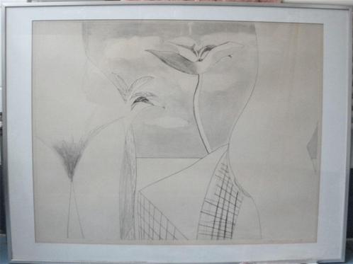 Ets Richard Bouwman, Licht Erotisch en Grappig Abstract, Antiek en Kunst, Kunst | Etsen en Gravures, Ophalen of Verzenden