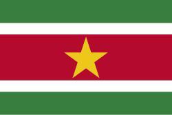 Surinaamse eten! beschikbaar voor biedingen