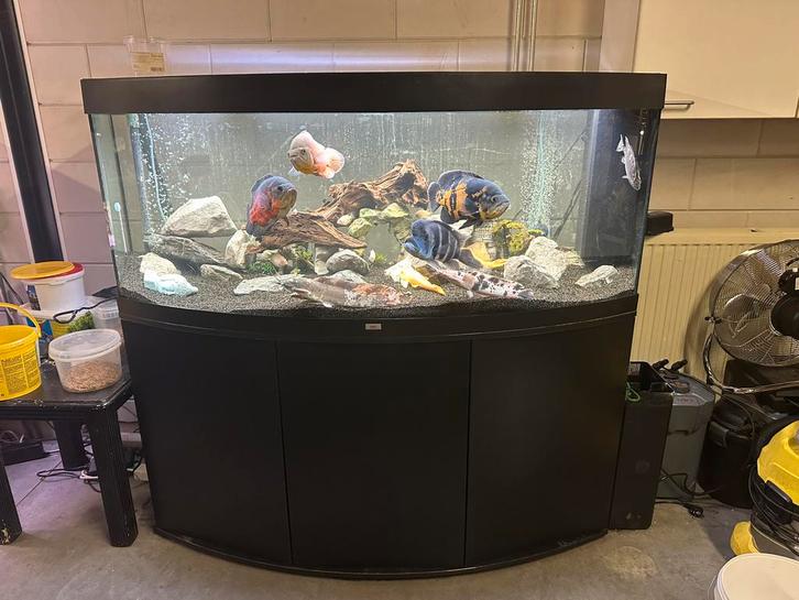 Juwel vision 450 Aquarium, Dieren en Toebehoren, Vissen | Aquaria en Toebehoren, Leeg aquarium, Ophalen