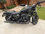 Harley Davidson Sportster 883, Motoren, Motoren | Harley-Davidson, 2 cilinders, Sportuitlaat, Chopper, Particulier