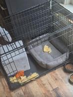 Honden bench, Dieren en Toebehoren, Ophalen of Verzenden, Zo goed als nieuw