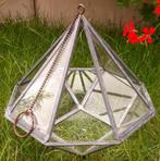 Glazen plantenhanger terrarium piramide, Ophalen