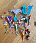 Barbie-look-a-like poppenset, Ophalen of Verzenden, Zo goed als nieuw, Overige typen