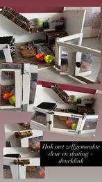 Cavia hok compleet ongv 1.10m bij 1.20m en 60cm hoog, Gebruikt, Hok, Cavia, Ophalen