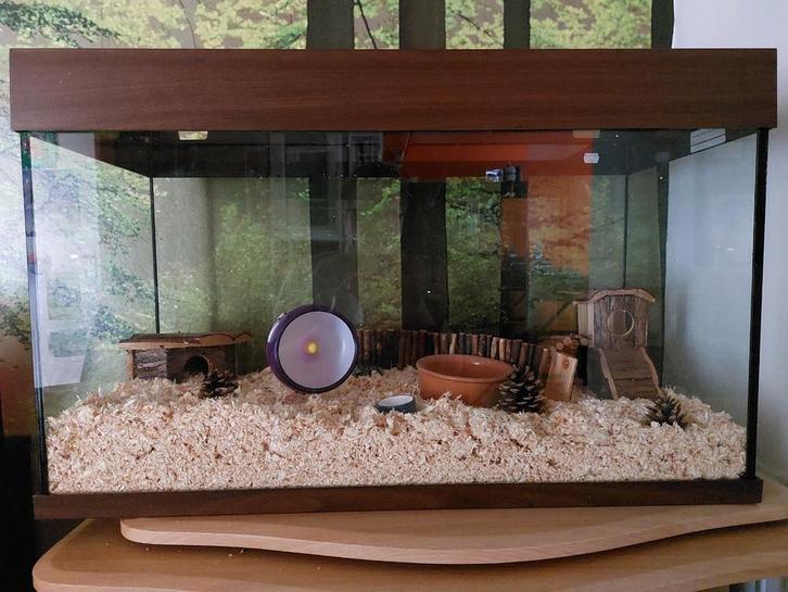 Hamsterscaping, Dieren en Toebehoren, Knaagdieren en Konijnen | Hokken en Kooien, Zo goed als nieuw, Overige typen, 60 tot 90 cm