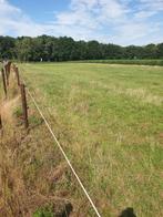 Weiland, weide, perceel te huur pacht, Dieren en Toebehoren, Stalling en Weidegang