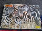 * Puzzel Fame Paul Banton’s Zebra’s 1000 stukjes *, Ophalen of Verzenden, 500 t/m 1500 stukjes, Gebruikt, Legpuzzel