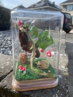 Springspin terrarium bos egel vlinder paddenstoel sfeer, Spin of Schorpioen