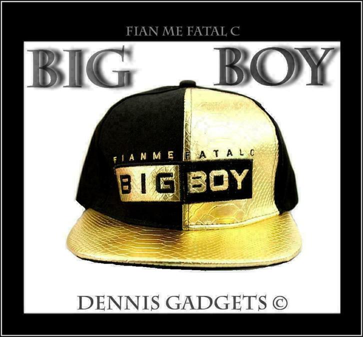 Dennis Gadgets: Exclusive Cap BIG BOY  in 2 kleurdesigns, Kleding | Heren, Hoeden en Petten, Nieuw, Pet, One size fits all, Ophalen of Verzenden