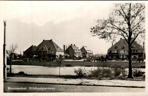 Wildhoefplantsoen Bloemendaal, Verzamelen, Ansichtkaarten | Nederland, Gelopen, Noord-Holland, Voor 1920, Ophalen of Verzenden
