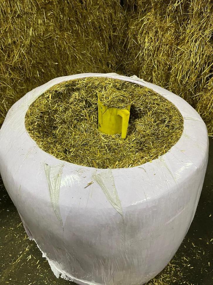 Luzerne Mix in midibalen, Dieren en Toebehoren, Dierenvoeding, Overige soorten, Ophalen